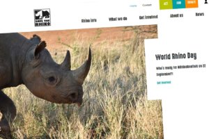 SAve the Rhino Webseite Support