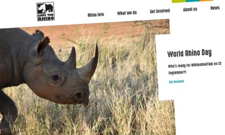 Anstatt Uhr – Save the Rhino – wohin mein Geburtstagsgeld 2019 ging