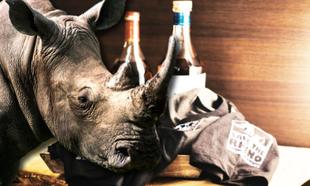 Warum Nashörner die besseren Einhörner sind – Save the Rhino als Weihnachtsgeschenk