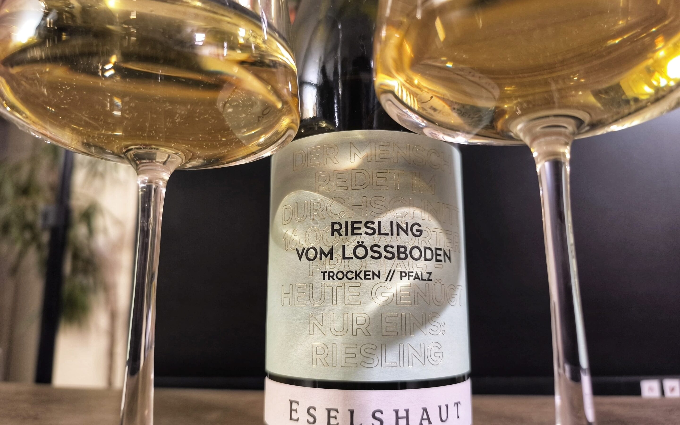 Wein der Woche: 2022 Riesling trocken vom Lössboden Mussbacher Eselshaut