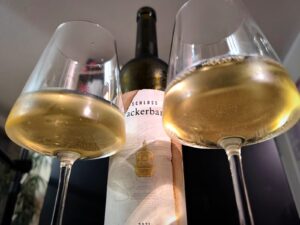 Der Schloss Wackerbarth Bacchus 2021. Eine positive Überraschung im Weinglas. Stachelbeere, weiße Johannisbeere und Grapefruit. Ein Wein aus Sachsen.