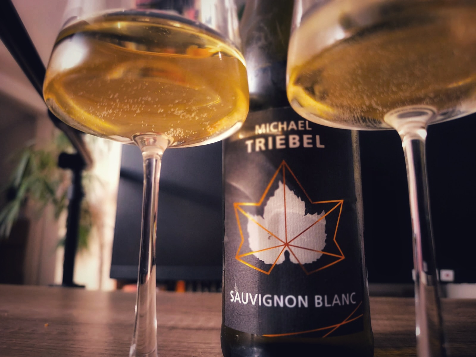 Ein Sauvignon Blanc der Extraklasse. Vinifiziert von Michael Triebel.